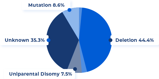 Creating new opportunities, insight and understanding